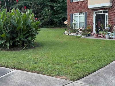 Lawn Care service in Santee, 92071