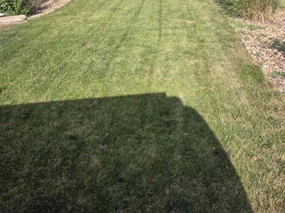 Lawn Care service in Englewood, 80113