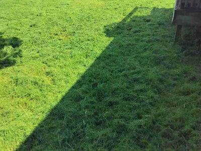 Lawn Care service in Oakhurst, 74107