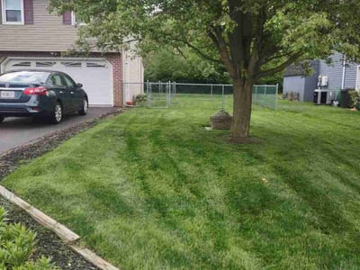 Lawn Care service in New Holland, 17557