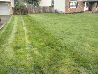 Lawn Care service in Canton, 44702