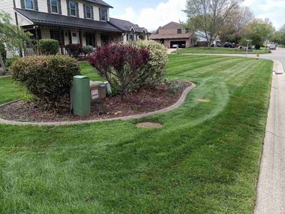 Lawn Care service in Canton, 44702