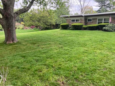 Lawn Care service in Canton, 44702