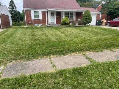 Lawn Care service in Canton, 44702