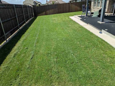 Lawn Care service in Norwalk, 06851