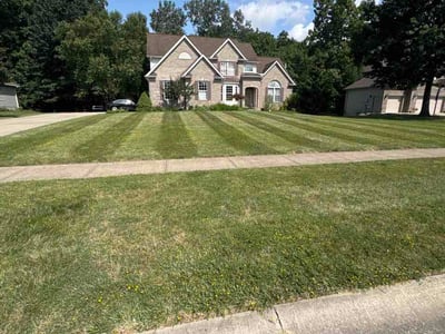 Lawn Care service in Lorain, 44052