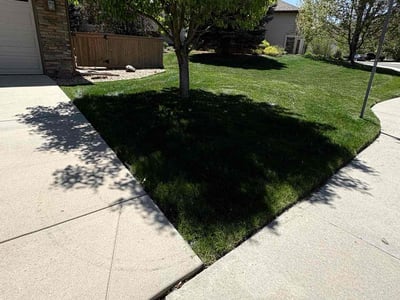 Lawn Care service in ,