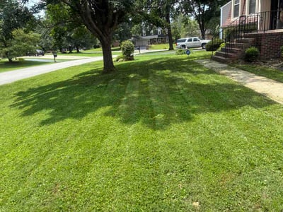 Lawn Care service in Mount Washington, 40047