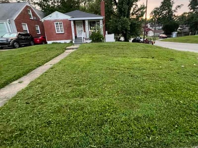 Lawn Care service in Mount Washington, 40047
