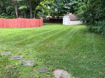 Lawn Care service in Quakertown, 18951