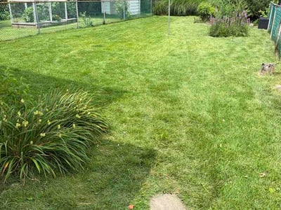 Lawn Care service in Ambler, 19002