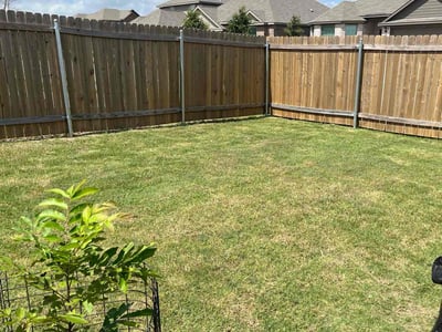 Lawn Care service in Stamford, 06901
