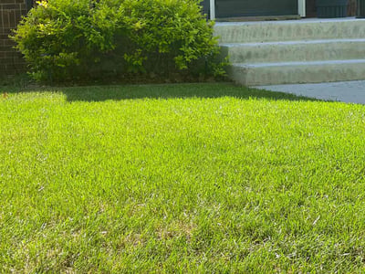 Lawn Care service in Fairplay, 80440