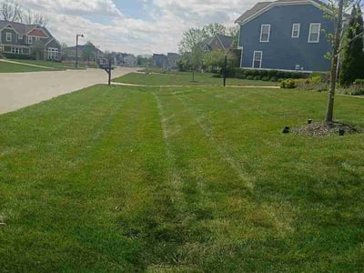 Lawn Care service in Upper Arlington, 43212
