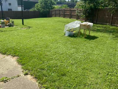 Lawn Care service in Springboro, 45066