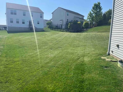 Lawn Care service in Springboro, 45066