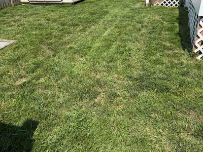 Lawn Care service in Perry Hall, 21128