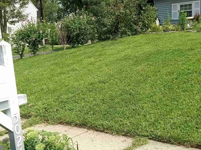 Lawn Care service in Perry Hall, 21128
