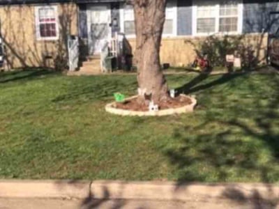 Lawn Care service in Bixby, 74008