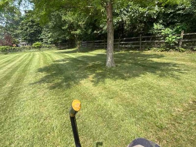 Lawn Care service in Holland, 43528