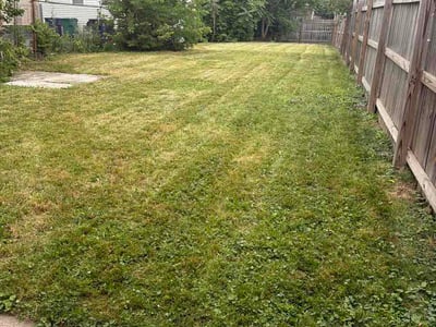 Lawn Care service in West Seneca, 14224