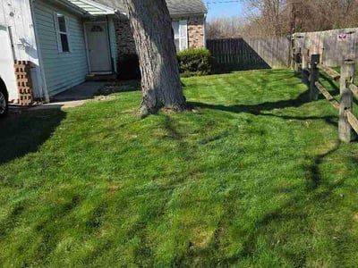 Lawn Care service in Holland, 43528