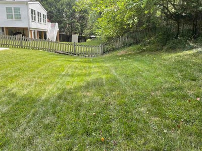 Lawn Care service in Ellicott City, 21043