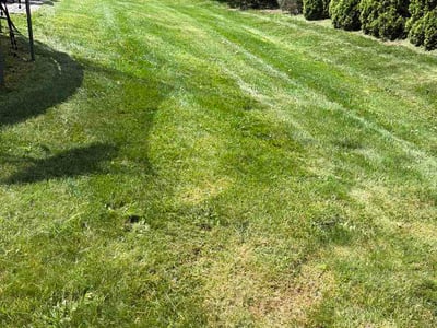 Lawn Care service in New Albany, 43054
