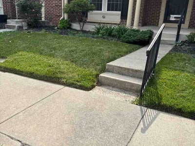 Lawn Care service in Ellicott City, 21043
