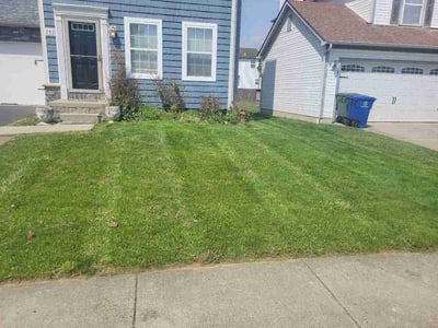 Lawn Care service in New Albany, 43054