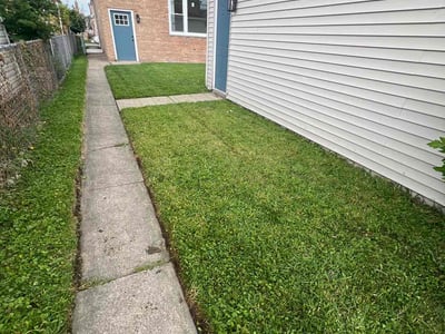 Lawn Care service in Oak Park, 60302