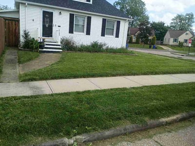 Lawn Care service in Cleveland, 44115