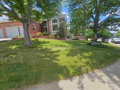 Lawn Care service in Aurora, 80011