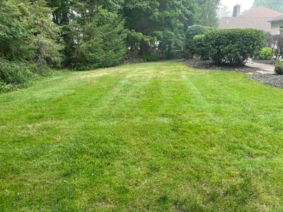 Lawn Care service in Streetsboro, 44241