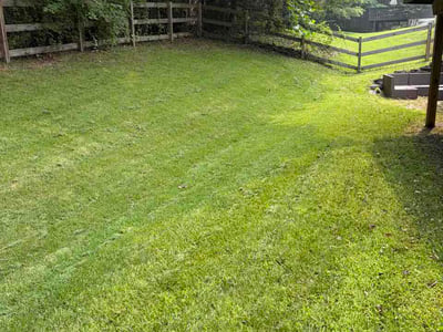Lawn Care service in Westminster, 21157