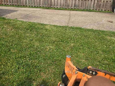 Lawn Care service in Seville, 44273