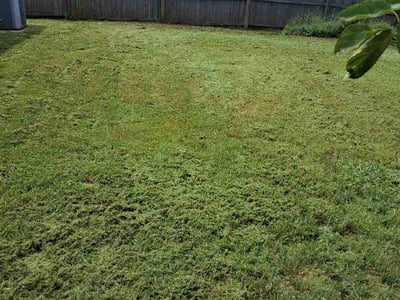 Lawn Care service in Choctaw, 73020