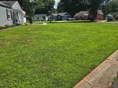 Lawn Care service in Cornelius, 28031