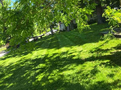 Lawn Care service in Painesville, 44077