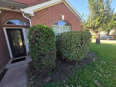 Lawn Care service in Westminster, 92683
