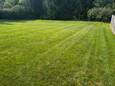 Lawn Care service in North Ridgeville, 44039