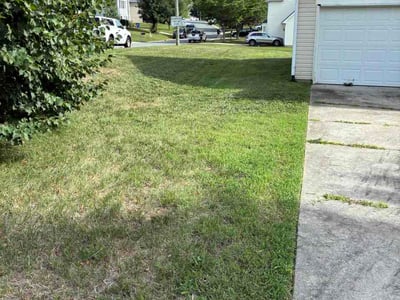 Lawn Care service in Clemmons, 27012