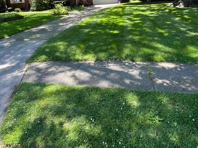 Lawn Care service in Toledo, 43604