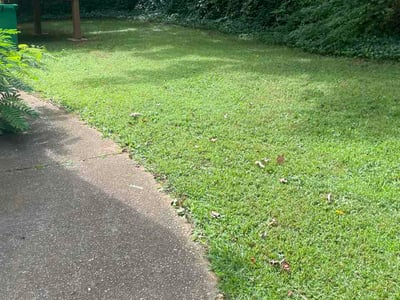 Lawn Care service in Carlsbad, 92008