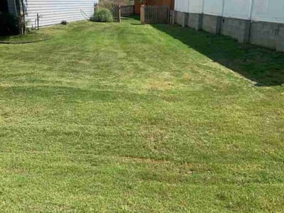 Lawn Care service in Garner, 27529