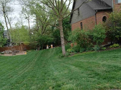 Lawn Care service in Vandalia, 45377