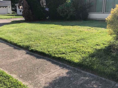 Lawn Care service in Vandalia, 45377