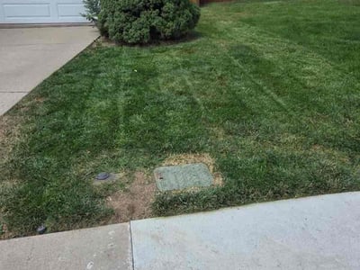 Lawn Care service in Westminster, 80030