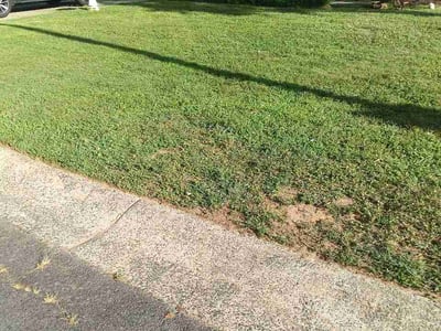 Lawn Care service in Oxnard, 93030