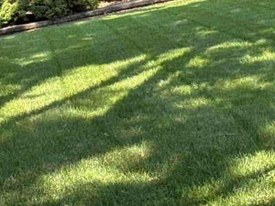 Lawn Care service in Orland Park, 60462